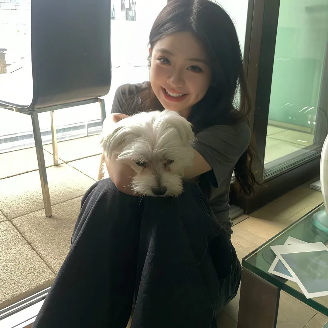 痴情快婿